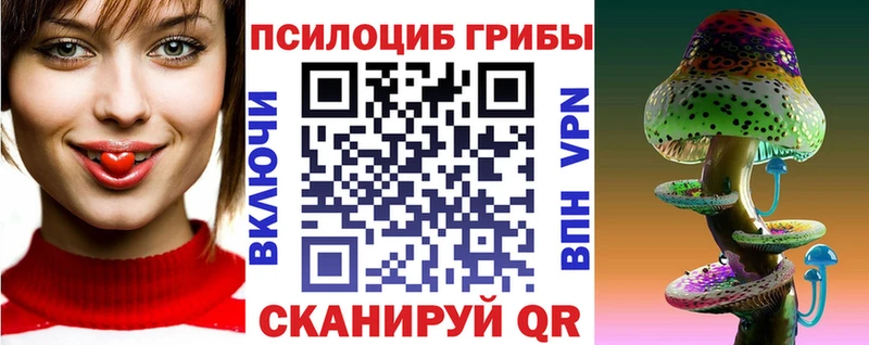 Купить где  Северодвинск  Галлюциногенные грибы Cubensis 